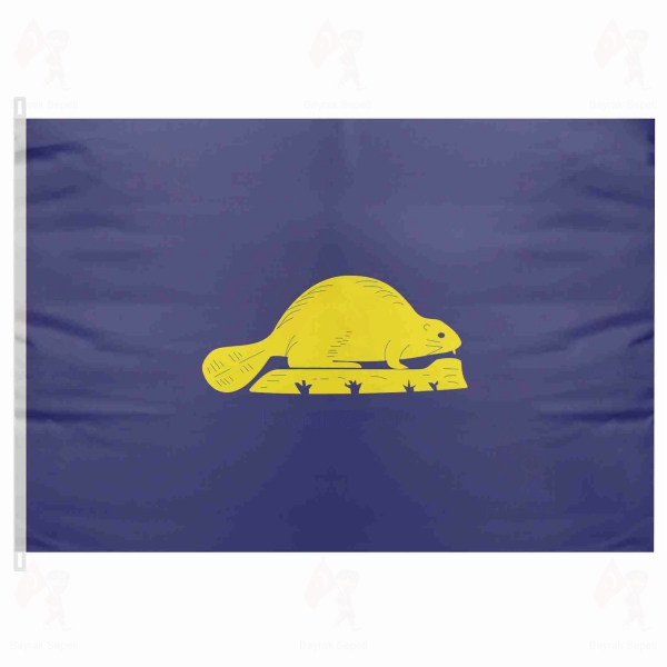 Oregon Reverse Bayra��